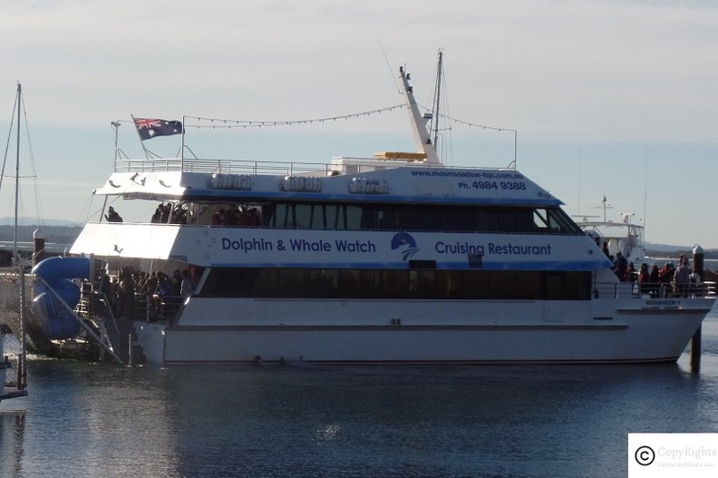 Charter Dolphin and Whale Watching Tours at Nelson Bay Marina