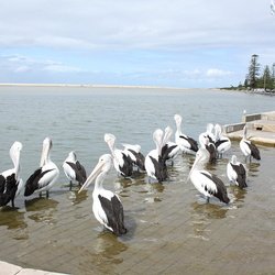 The Entrance & Toukley, NSW