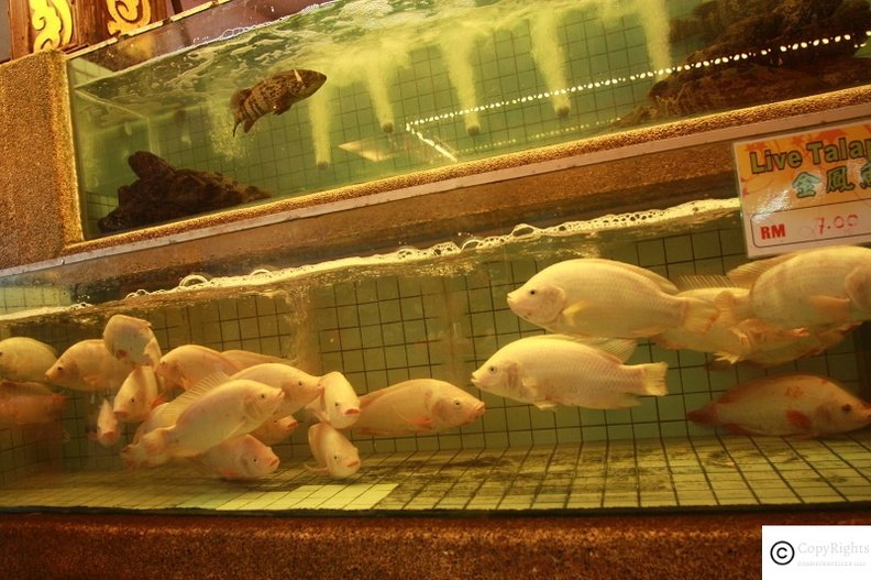 Seafood Restaurant at Batu Ferringhi Georgetown Penang