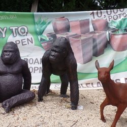 Blue Mountains NSW Australia
