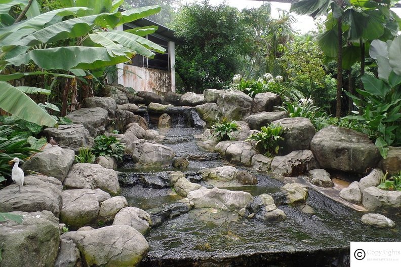 Beautiful waterfall at KL Bird Park, Kuala Lumpur