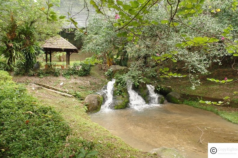 Beautiful interior of KL Bird Park