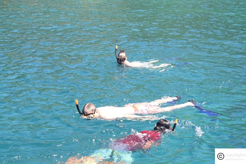 Snorkelling near Phi Phi Islands