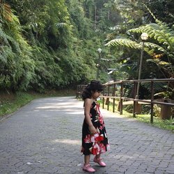 Japanese Garden in Berjaya Hills