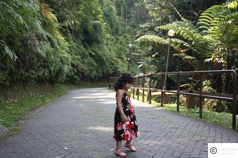 Walking up from car park to the Japanese Garden