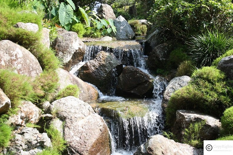 Beautiful ponds at the Japanese Garden