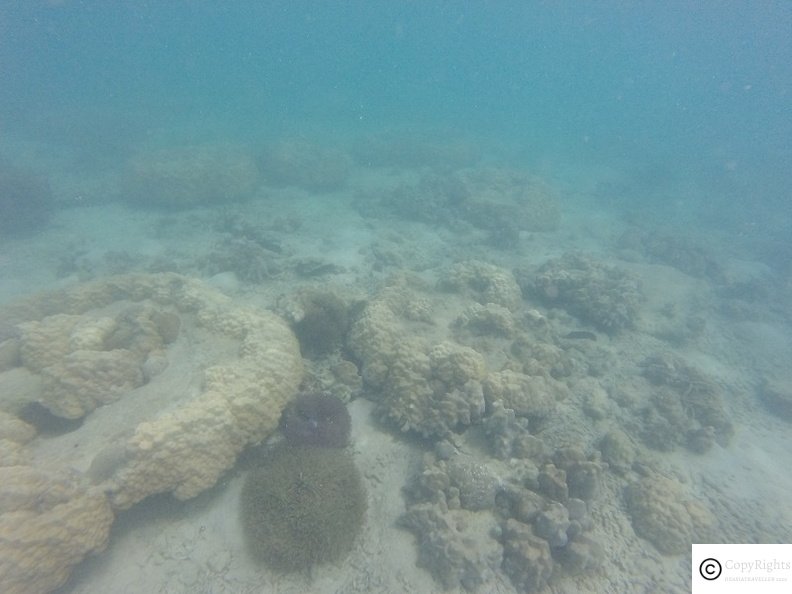 Clear waters at Pulau Kapas is ideal for swimming and snorkelling. 