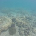 Clear waters at Pulau Kapas is ideal for swimming and snorkelling. 