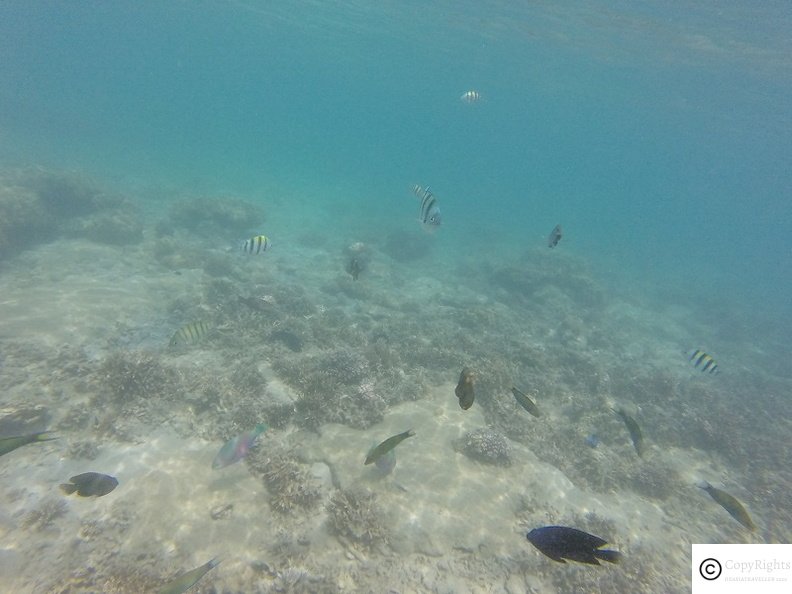 Snorkelling at Kapas Island