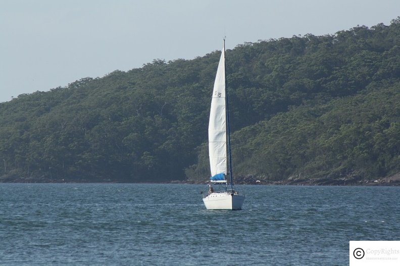 Enjoy boating at Salamandar Bay near Nelson Bay area in NSW