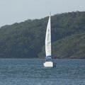 Enjoy boating at Salamandar Bay near Nelson Bay area in NSW