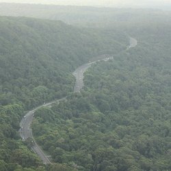 Royal National Park - Stanwell Tops and Wollongong Trip