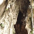 batu-caves-5