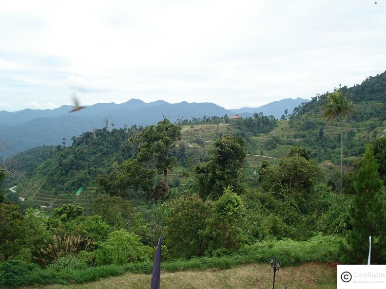 berjaya-hill-3