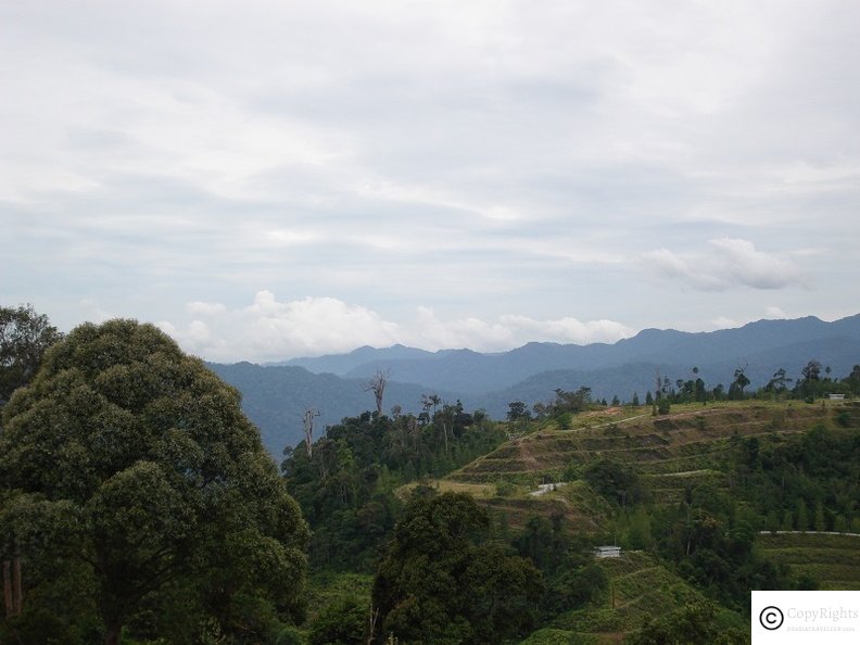 berjaya-hill-s7