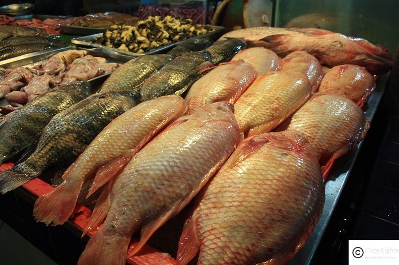 Phuket offers great quality seafood including snapper and local fish