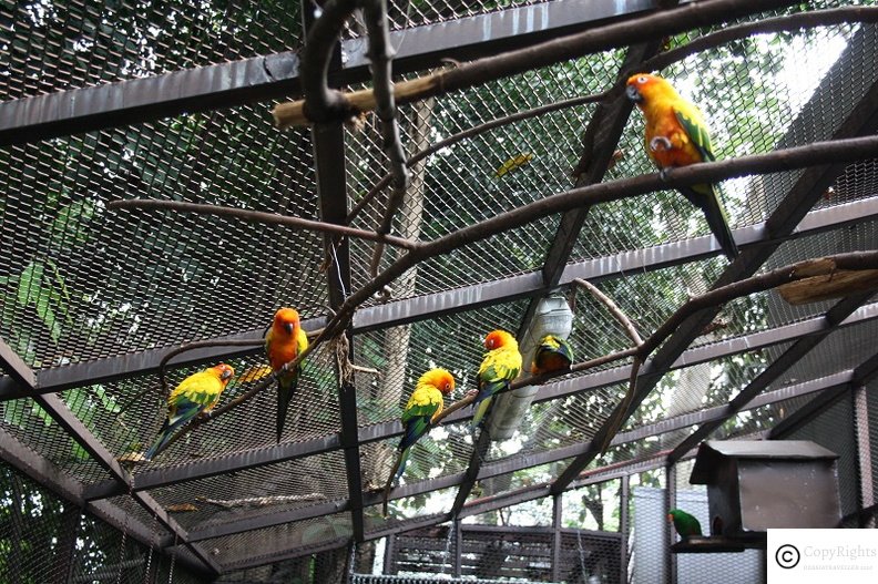 Mini Zoo at Menara KL